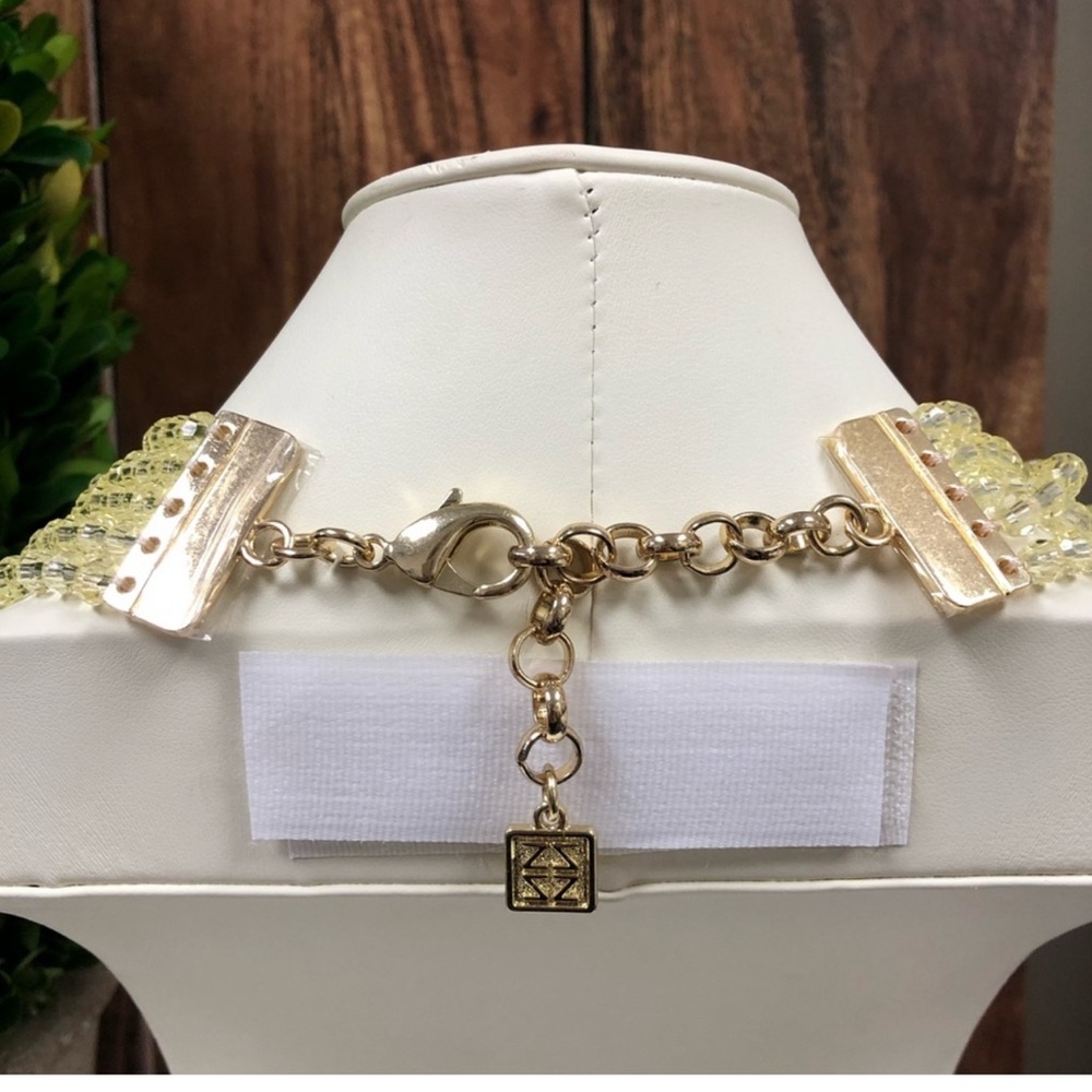 Clearly Mod Necklace - Picture 4 of 5